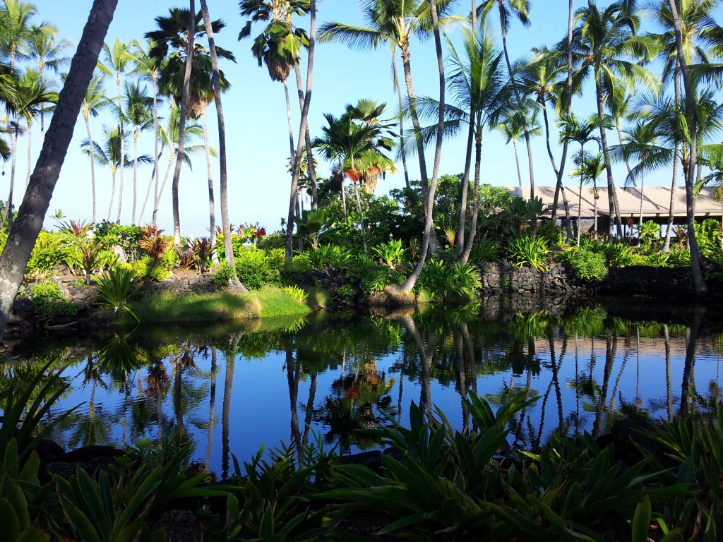 King David Kalakaua's Bathing Pond